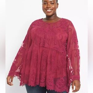 Lane Bryant | Embroidered Sheer Babydoll Top sz 22/24